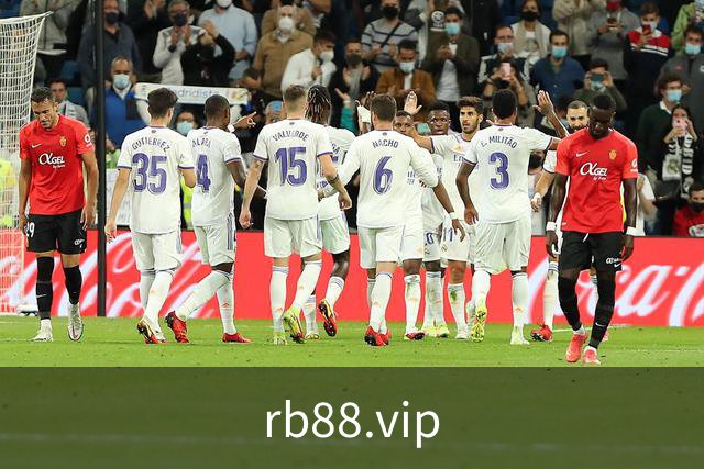 rb88.vip公司简介配图